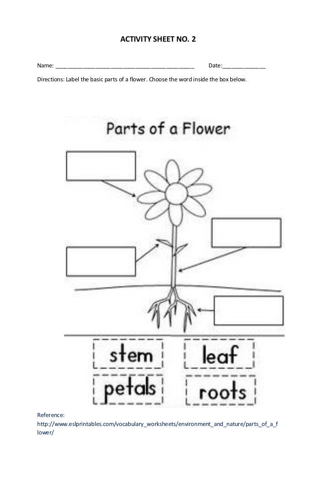 big for small plants and kindergarten worksheet lesson Brain plan based big for small plants and kindergarten worksheet lesson Brain plan based