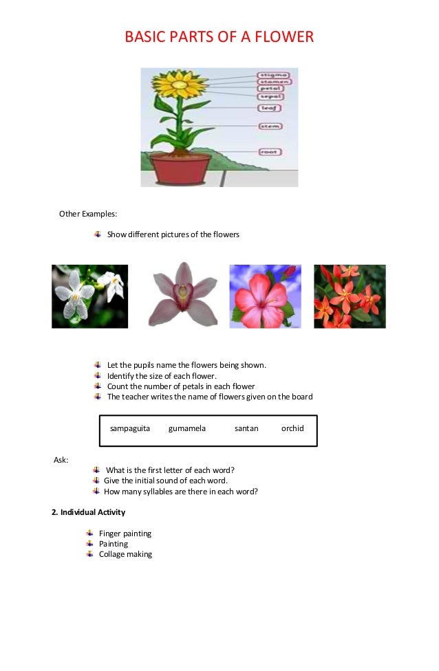Featured image of post Sampaguita Drawing And Parts