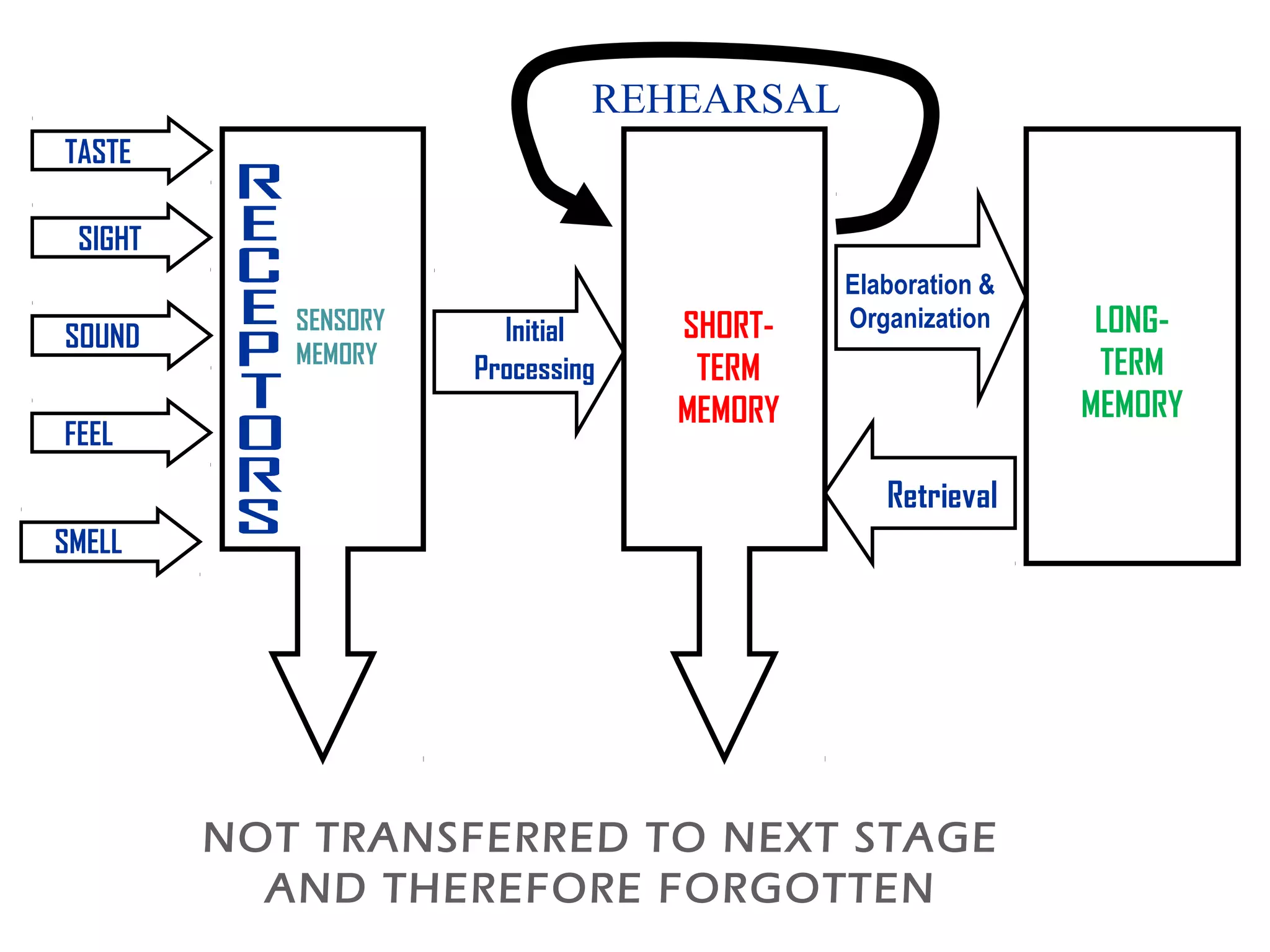 TASTE
SENSORY
MEMORY
SHORT-
TERM
MEMORY
LONG-
TERM
MEMORY
SIGHT
SOUND
FEEL
SMELL
NOT TRANSFERRED TO NEXT STAGE
AND THEREFORE FORGOTTEN
Initial
Processing
REHEARSAL
Retrieval
Elaboration &
Organization
 