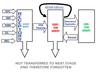 TASTE
SENSORY
MEMORY
SHORT-
TERM
MEMORY
LONG-
TERM
MEMORY
SIGHT
SOUND
FEEL
SMELL
NOT TRANSFERRED TO NEXT STAGE
AND THEREFORE FORGOTTEN
Initial
Processing
REHEARSAL
Retrieval
Elaboration &
Organization
 