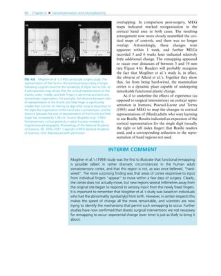 Brain-Behavior-Easy-Intro_Neuropsychology.pdf