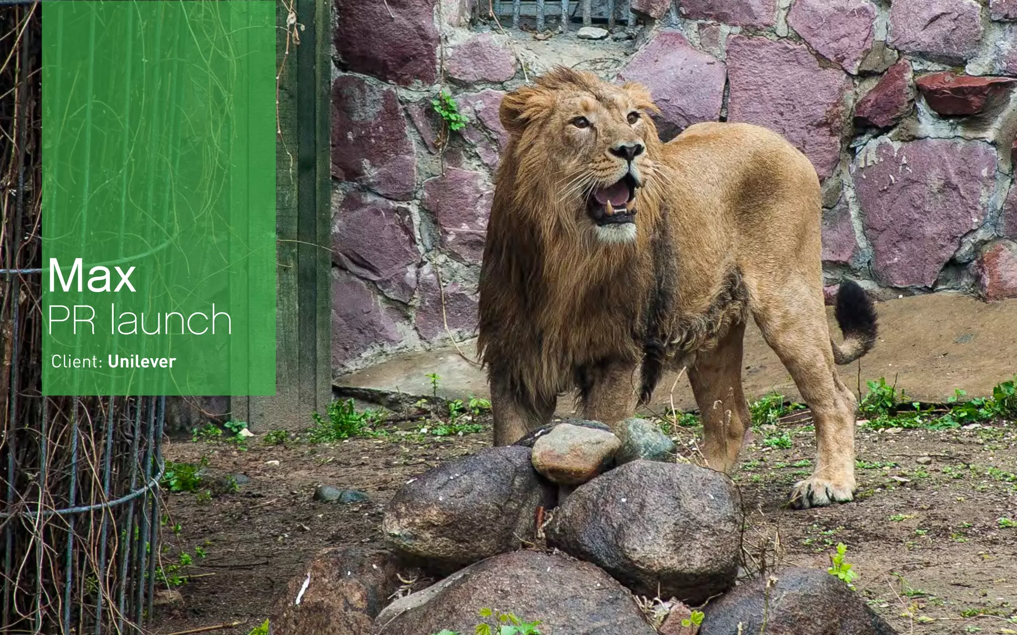 Max
PR launch
Client: Unilever
 