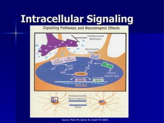 Intracellular Signaling Source: Manji HK, Quiroz JA, Gould TD (2003) 