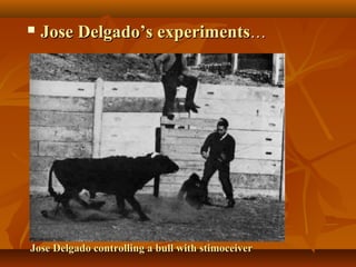    Jose Delgado’s experiments…




Jose Delgado controlling a bull with stimoceiver
 