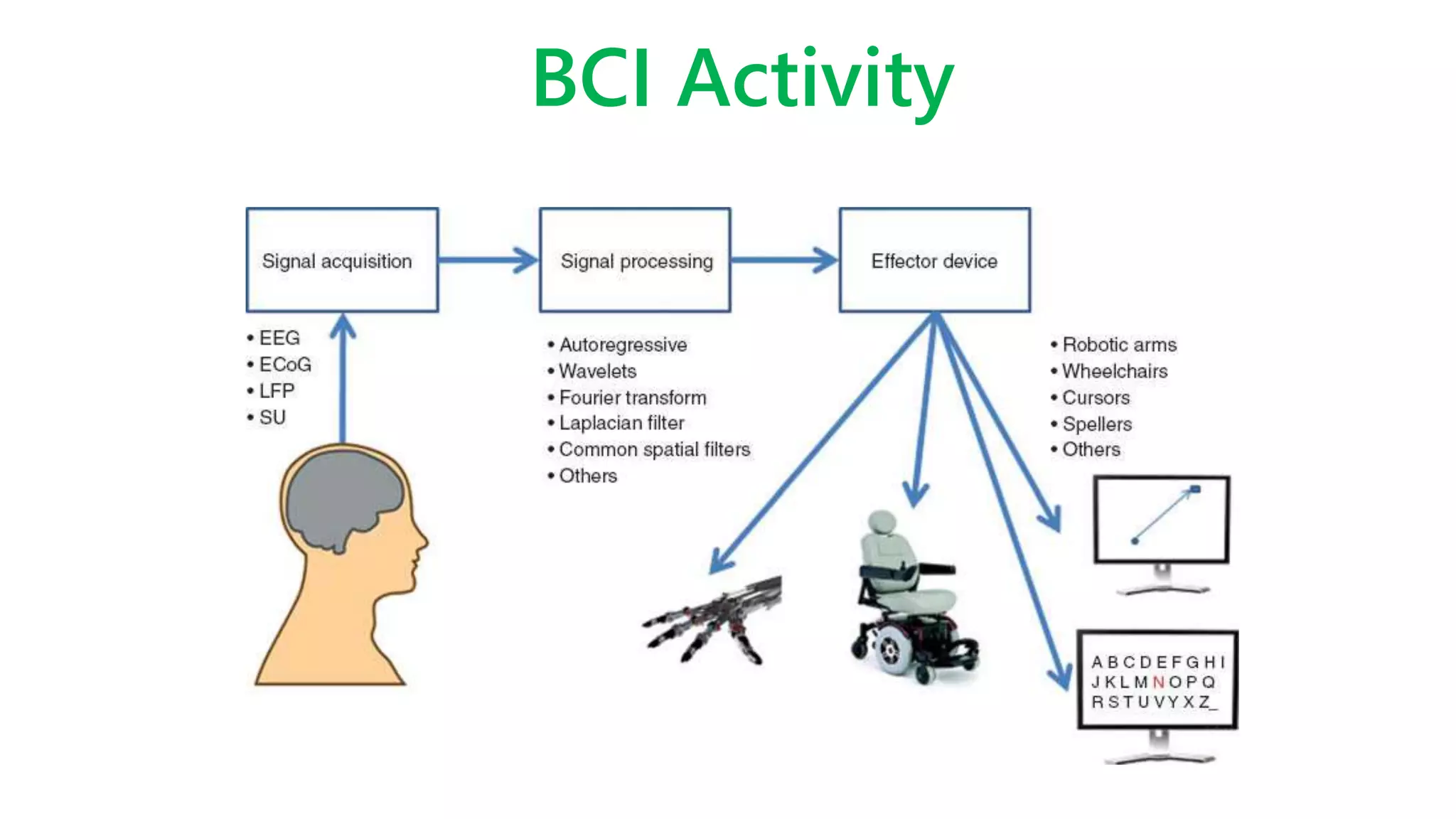 BCI Activity
 