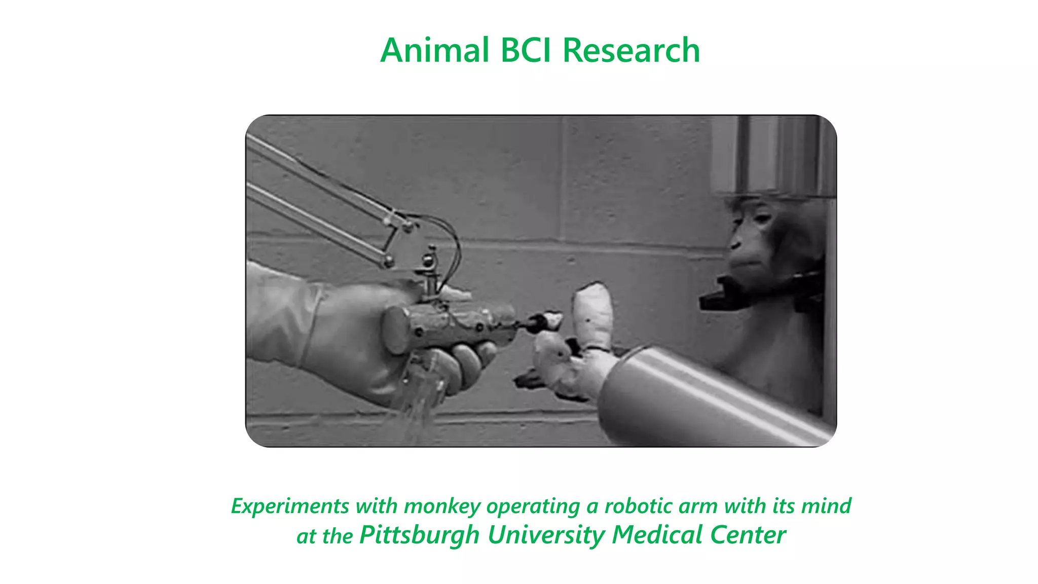 Experiments with monkey operating a robotic arm with its mind
at the Pittsburgh University Medical Center
Animal BCI Research
 