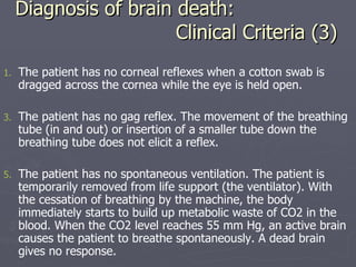 Diagnosis of brain death:   Clinical Criteria (3) The patient has no corneal reflexes when a cotton swab is dragged across the cornea while the eye is held open. The patient has no gag reflex. The movement of the breathing tube (in and out) or insertion of a smaller tube down the breathing tube does not elicit a reflex. The patient has no spontaneous ventilation. The patient is temporarily removed from life support (the ventilator). With the cessation of breathing by the machine, the body immediately starts to build up metabolic waste of CO2 in the blood. When the CO2 level reaches 55 mm Hg, an active brain causes the patient to breathe spontaneously. A dead brain gives no response. 