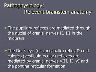 Pathophysiology:   Relevent brainstem anatomy The pupillary reflexes are mediated through the nuclei of cranial nerves II, III in the midbrain The Doll’s eye (oculocephalic) reflex & cold calorics (vestibulo-ocular) reflexes are mediated by cranial nerves VIII, II ,VI and the pontine reticular formation 