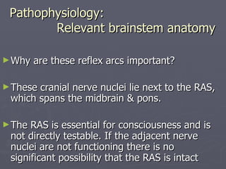 Pathophysiology:   Relevant brainstem anatomy Why are these reflex arcs important? These cranial nerve nuclei lie next to the RAS, which spans the midbrain & pons.  The RAS is essential for consciousness and is not directly testable. If the adjacent nerve nuclei are not functioning there is no significant possibility that the RAS is intact 
