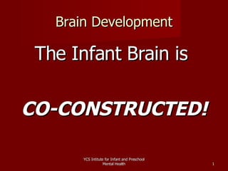 Brain Development ,[object Object],[object Object],YCS Intitute for Infant and Preschool Mental Health 