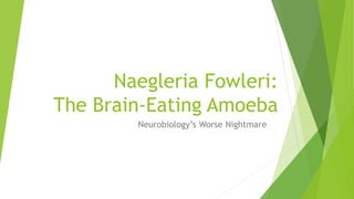 Naegleria Fowleri:
The Brain-Eating Amoeba
Neurobiology’s Worse Nightmare
 
