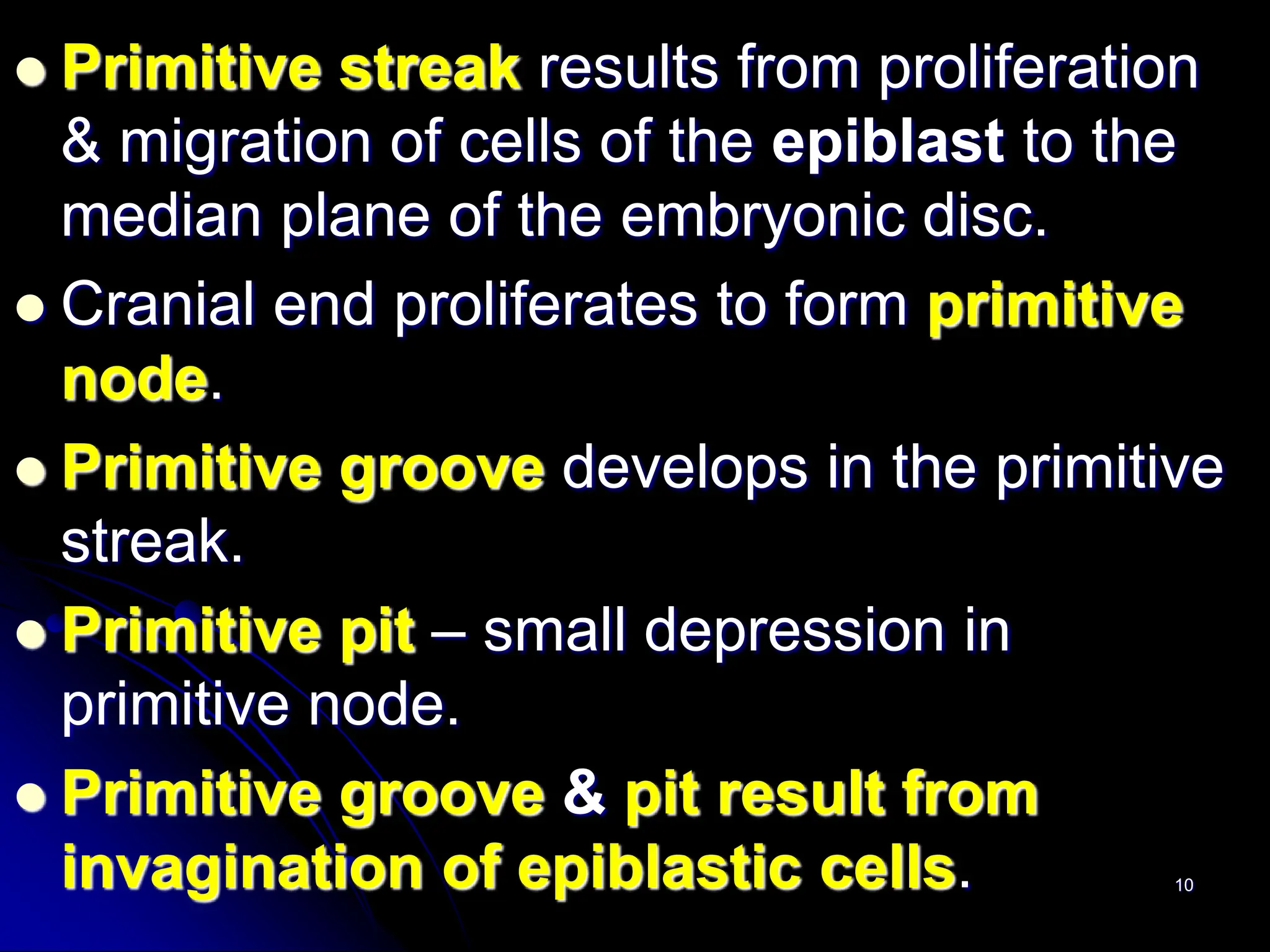 10
 Primitive streak results from proliferation
& migration of cells of the epiblast to the
median plane of the embryonic disc.
 Cranial end proliferates to form primitive
node.
 Primitive groove develops in the primitive
streak.
 Primitive pit – small depression in
primitive node.
 Primitive groove & pit result from
invagination of epiblastic cells.
 