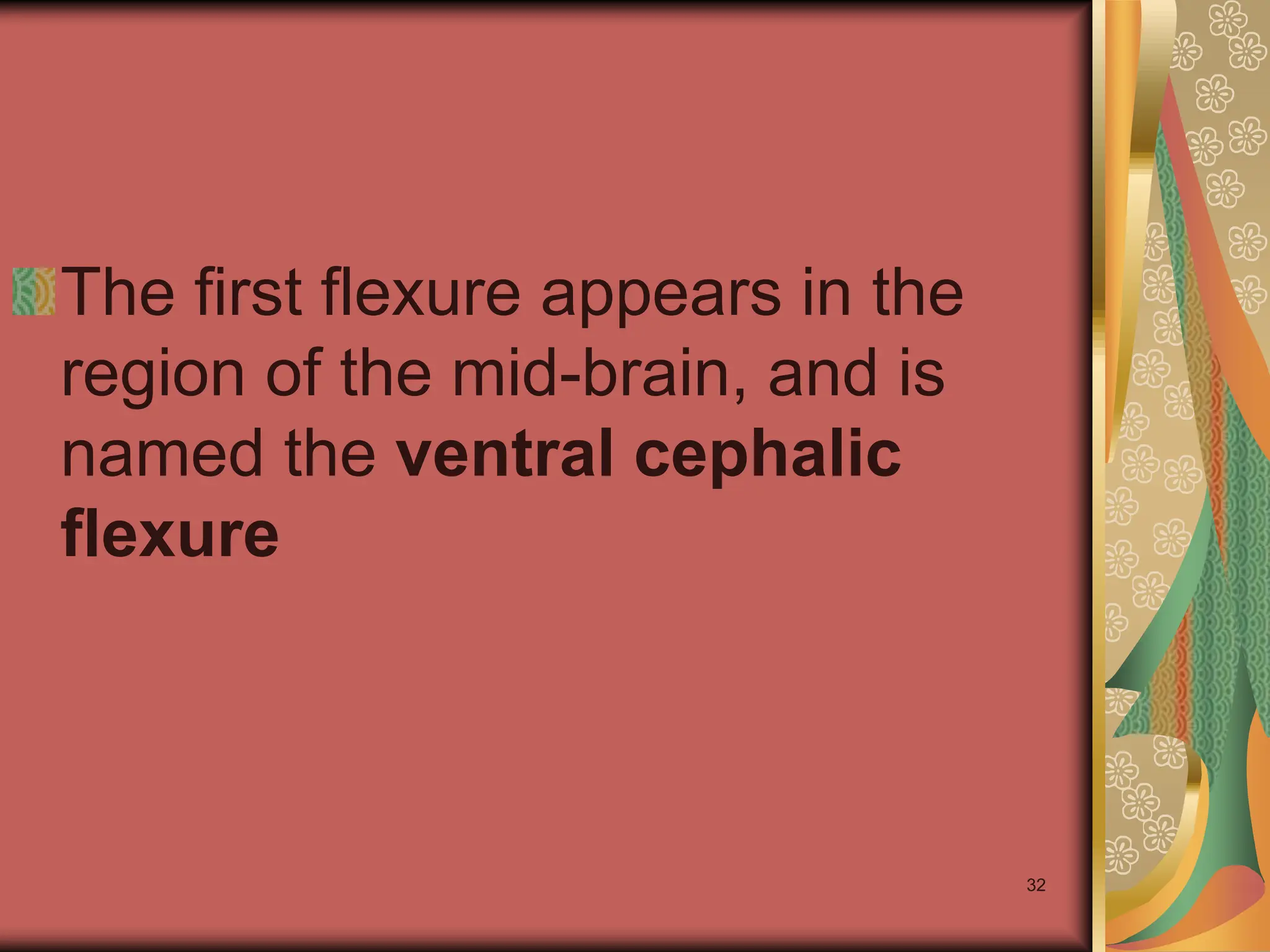 32
The first flexure appears in the
region of the mid-brain, and is
named the ventral cephalic
flexure
 
