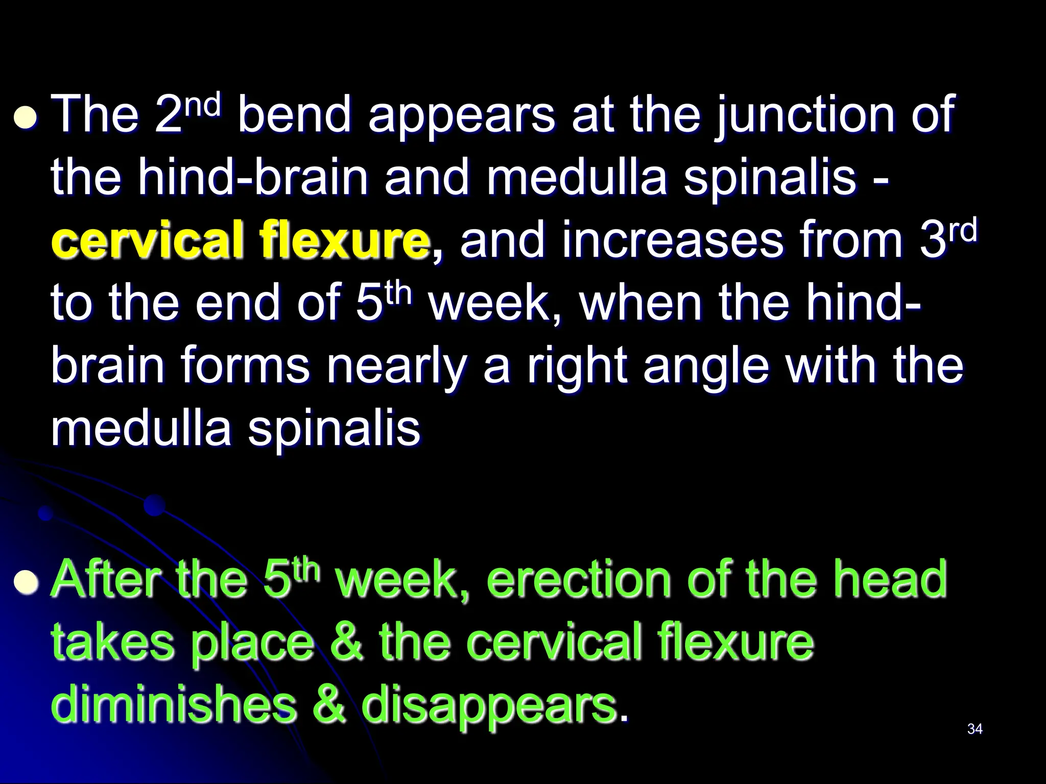 34
 The 2nd bend appears at the junction of
the hind-brain and medulla spinalis -
cervical flexure, and increases from 3rd
to the end of 5th week, when the hind-
brain forms nearly a right angle with the
medulla spinalis
 After the 5th week, erection of the head
takes place & the cervical flexure
diminishes & disappears.
 