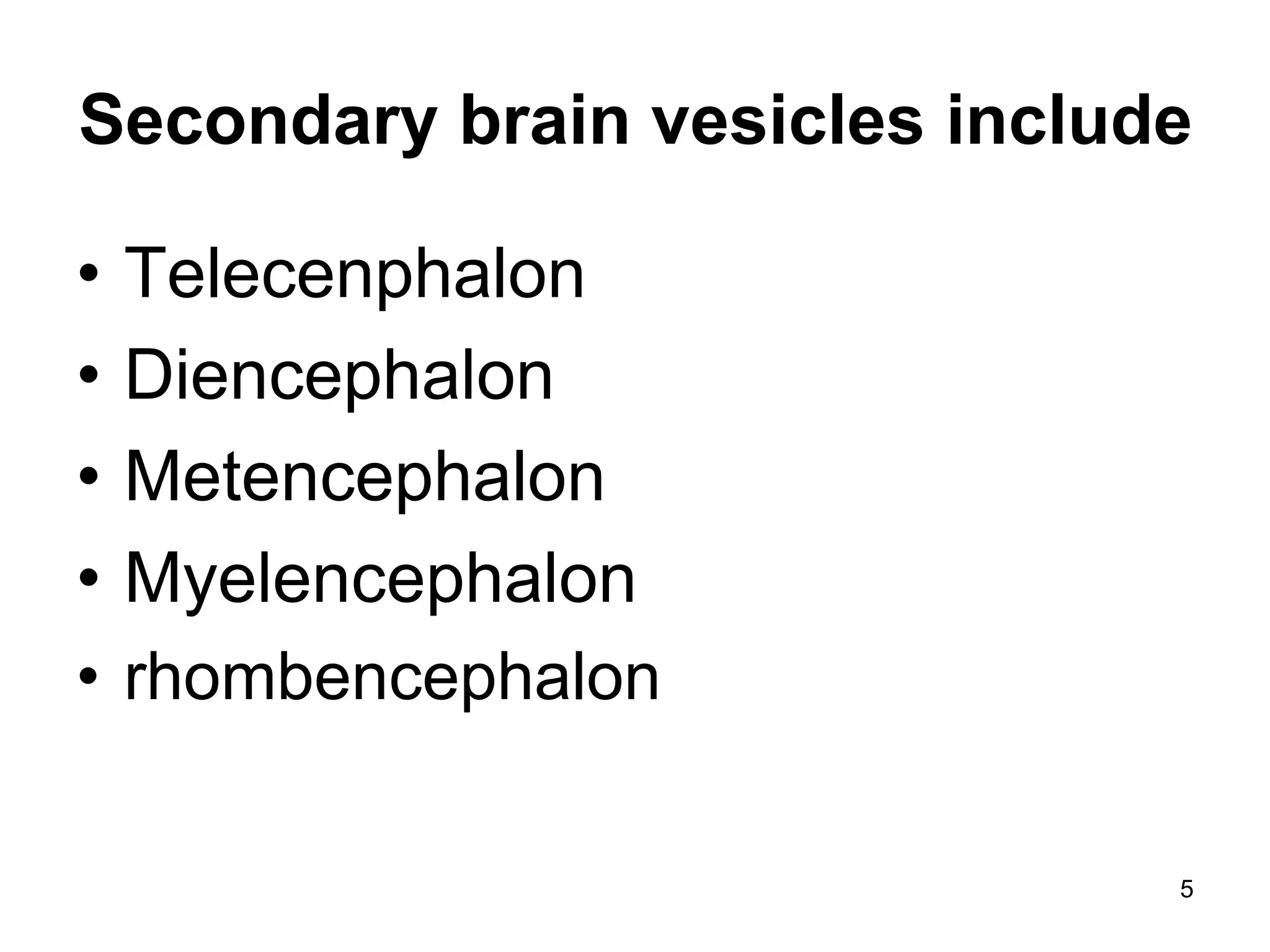 5
Secondary brain vesicles include
• Telecenphalon
• Diencephalon
• Metencephalon
• Myelencephalon
• rhombencephalon
 