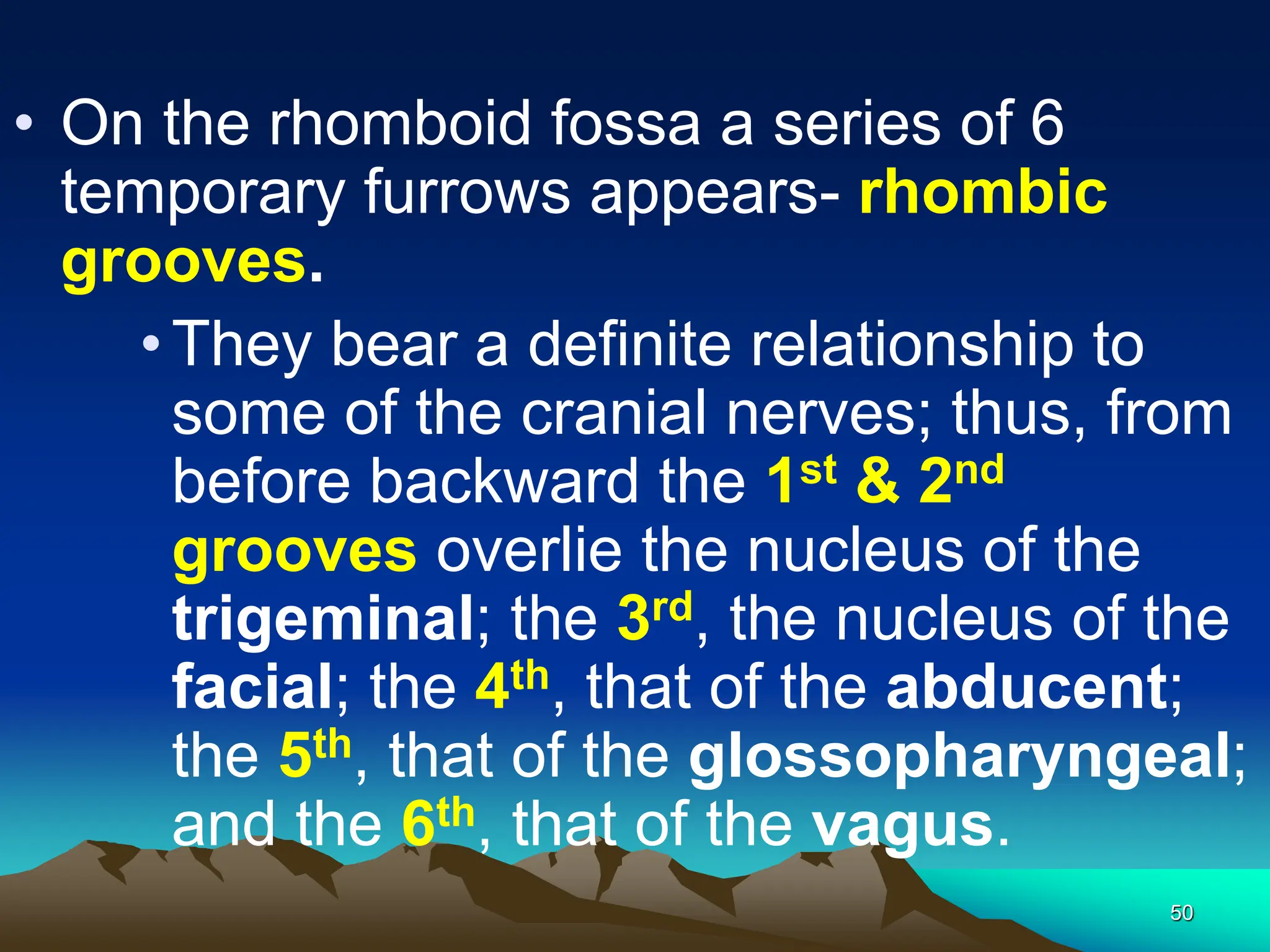 50
• On the rhomboid fossa a series of 6
temporary furrows appears- rhombic
grooves.
•They bear a definite relationship to
some of the cranial nerves; thus, from
before backward the 1st & 2nd
grooves overlie the nucleus of the
trigeminal; the 3rd, the nucleus of the
facial; the 4th, that of the abducent;
the 5th, that of the glossopharyngeal;
and the 6th, that of the vagus.
 