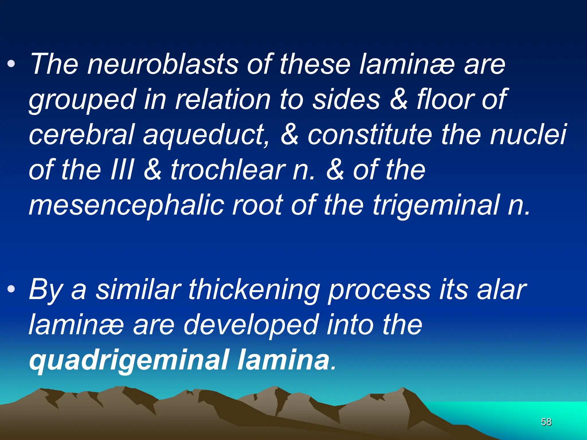 58
• The neuroblasts of these laminæ are
grouped in relation to sides & floor of
cerebral aqueduct, & constitute the nuclei
of the III & trochlear n. & of the
mesencephalic root of the trigeminal n.
• By a similar thickening process its alar
laminæ are developed into the
quadrigeminal lamina.
 
