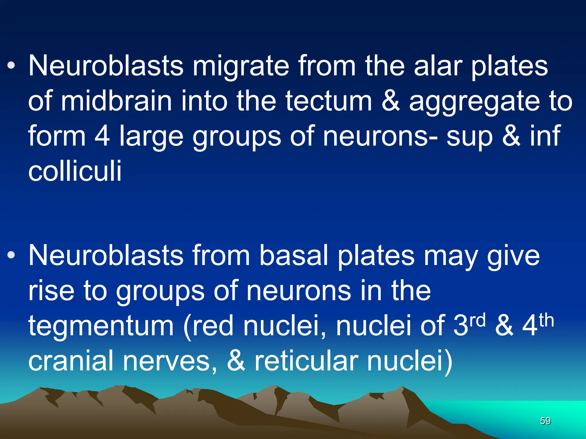 59
• Neuroblasts migrate from the alar plates
of midbrain into the tectum & aggregate to
form 4 large groups of neurons- sup & inf
colliculi
• Neuroblasts from basal plates may give
rise to groups of neurons in the
tegmentum (red nuclei, nuclei of 3rd & 4th
cranial nerves, & reticular nuclei)
 