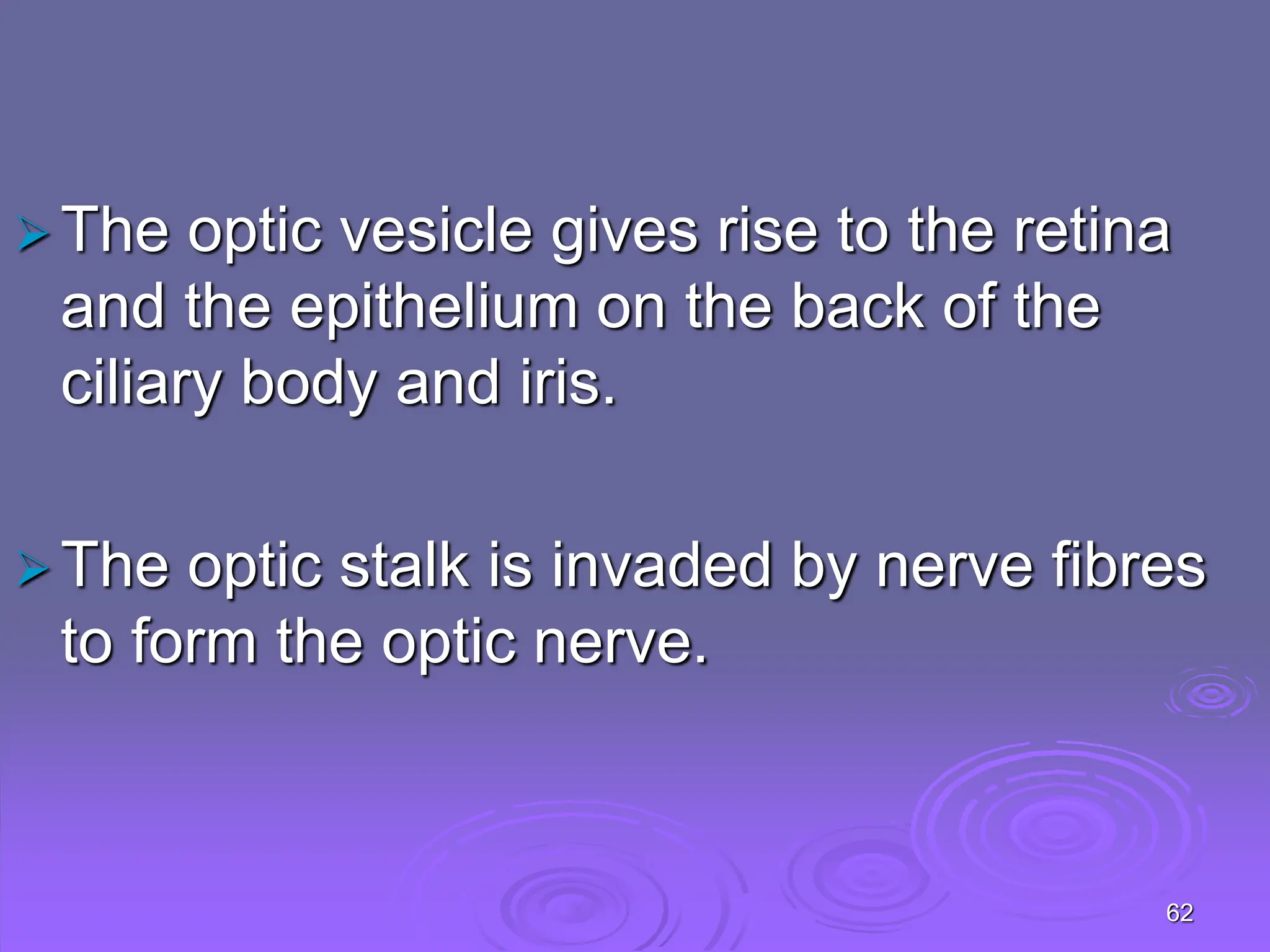 62
The optic vesicle gives rise to the retina
and the epithelium on the back of the
ciliary body and iris.
The optic stalk is invaded by nerve fibres
to form the optic nerve.
 
