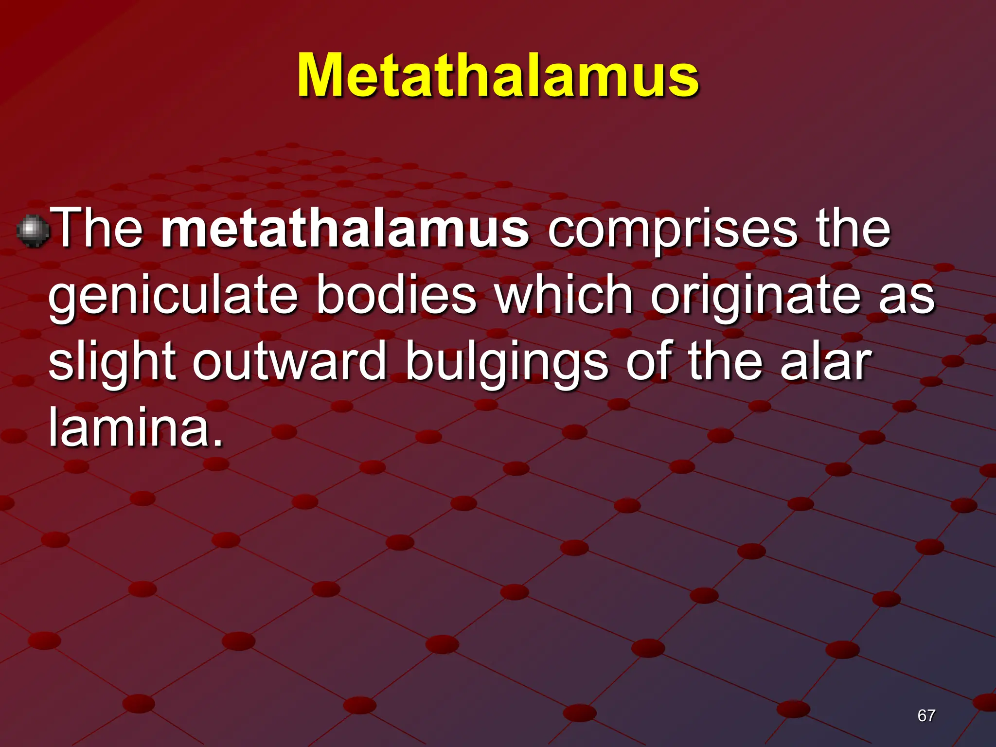 67
Metathalamus
The metathalamus comprises the
geniculate bodies which originate as
slight outward bulgings of the alar
lamina.
 
