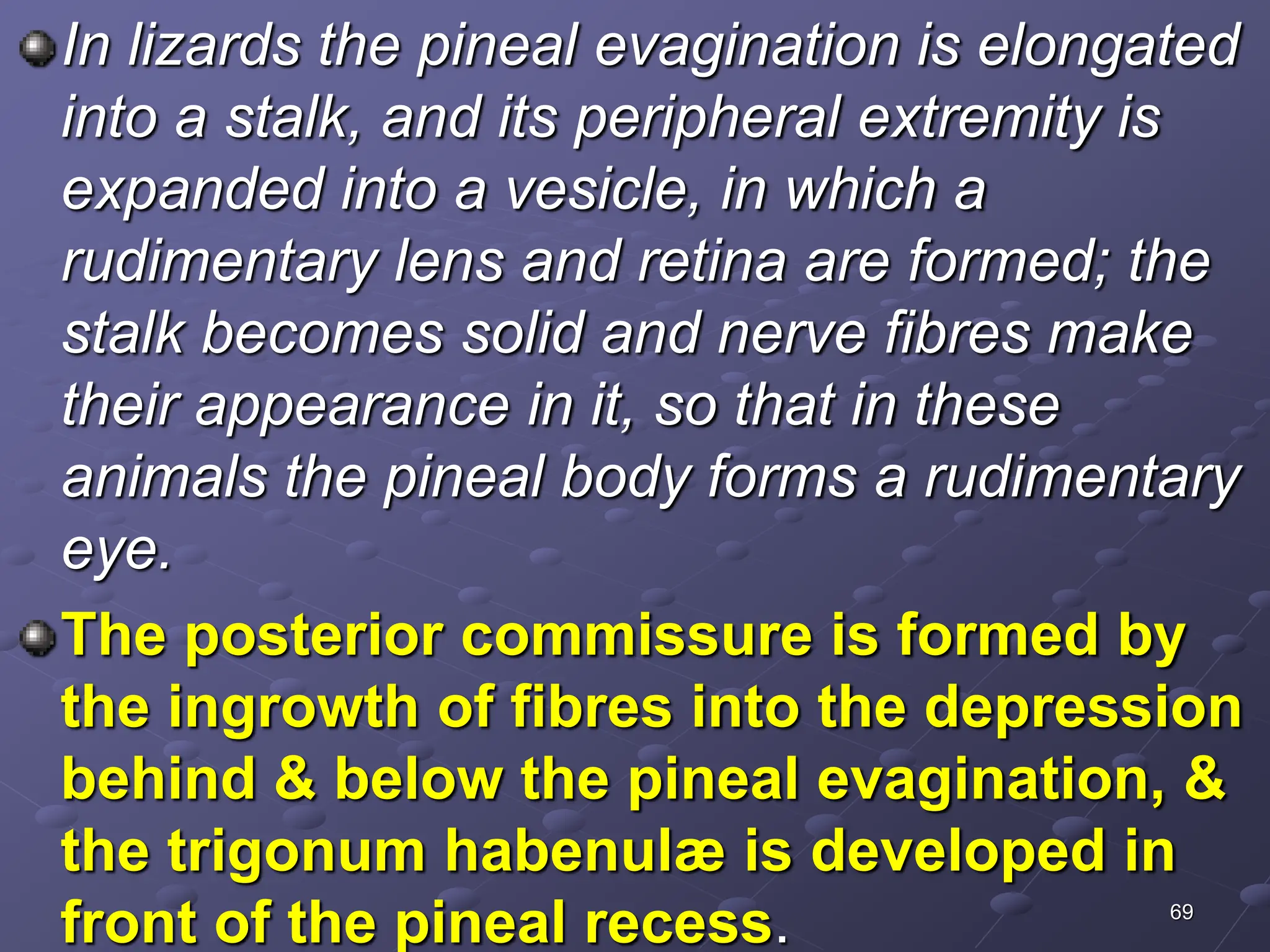 69
In lizards the pineal evagination is elongated
into a stalk, and its peripheral extremity is
expanded into a vesicle, in which a
rudimentary lens and retina are formed; the
stalk becomes solid and nerve fibres make
their appearance in it, so that in these
animals the pineal body forms a rudimentary
eye.
The posterior commissure is formed by
the ingrowth of fibres into the depression
behind & below the pineal evagination, &
the trigonum habenulæ is developed in
front of the pineal recess.
 
