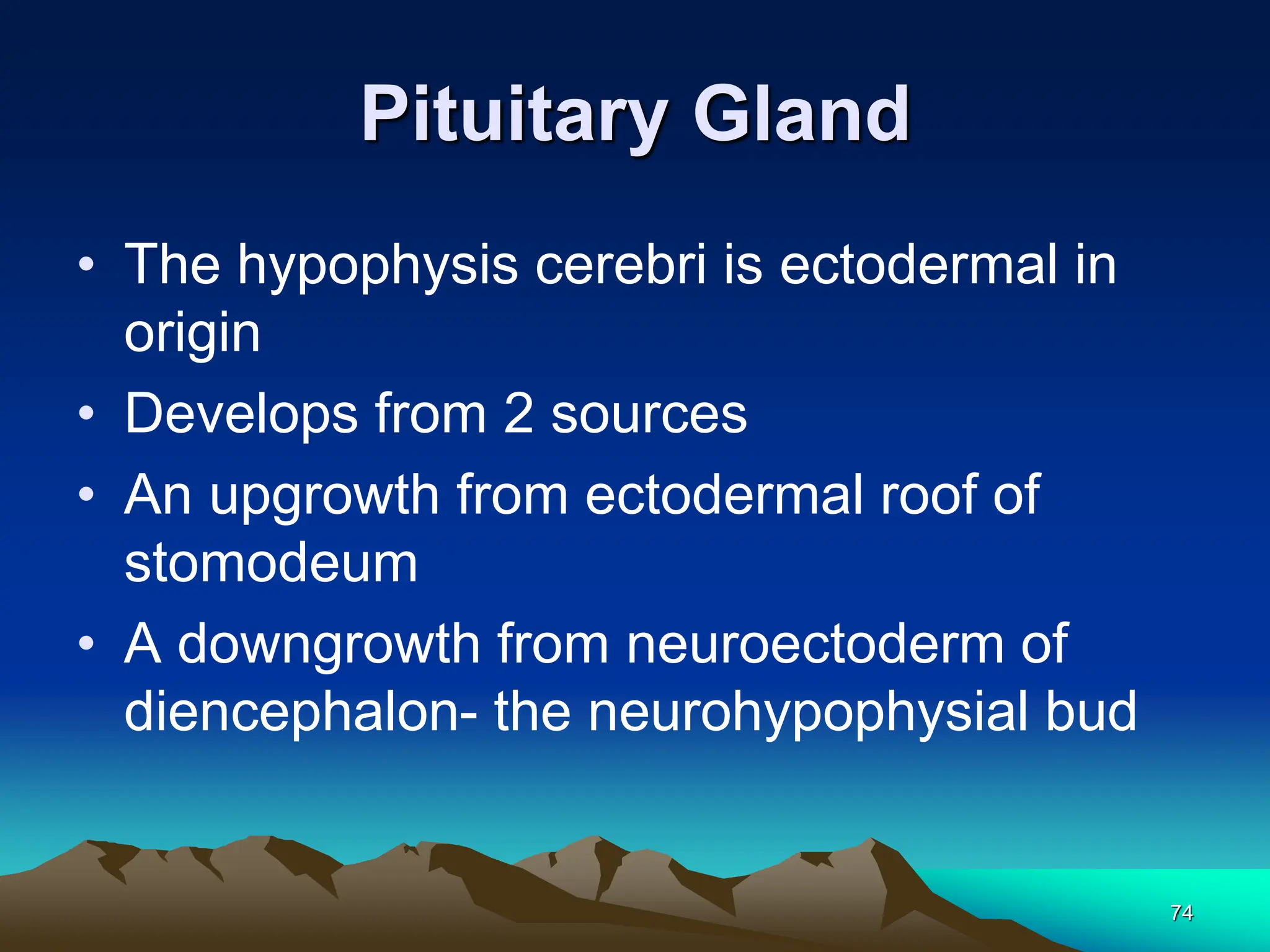 74
Pituitary Gland
• The hypophysis cerebri is ectodermal in
origin
• Develops from 2 sources
• An upgrowth from ectodermal roof of
stomodeum
• A downgrowth from neuroectoderm of
diencephalon- the neurohypophysial bud
 
