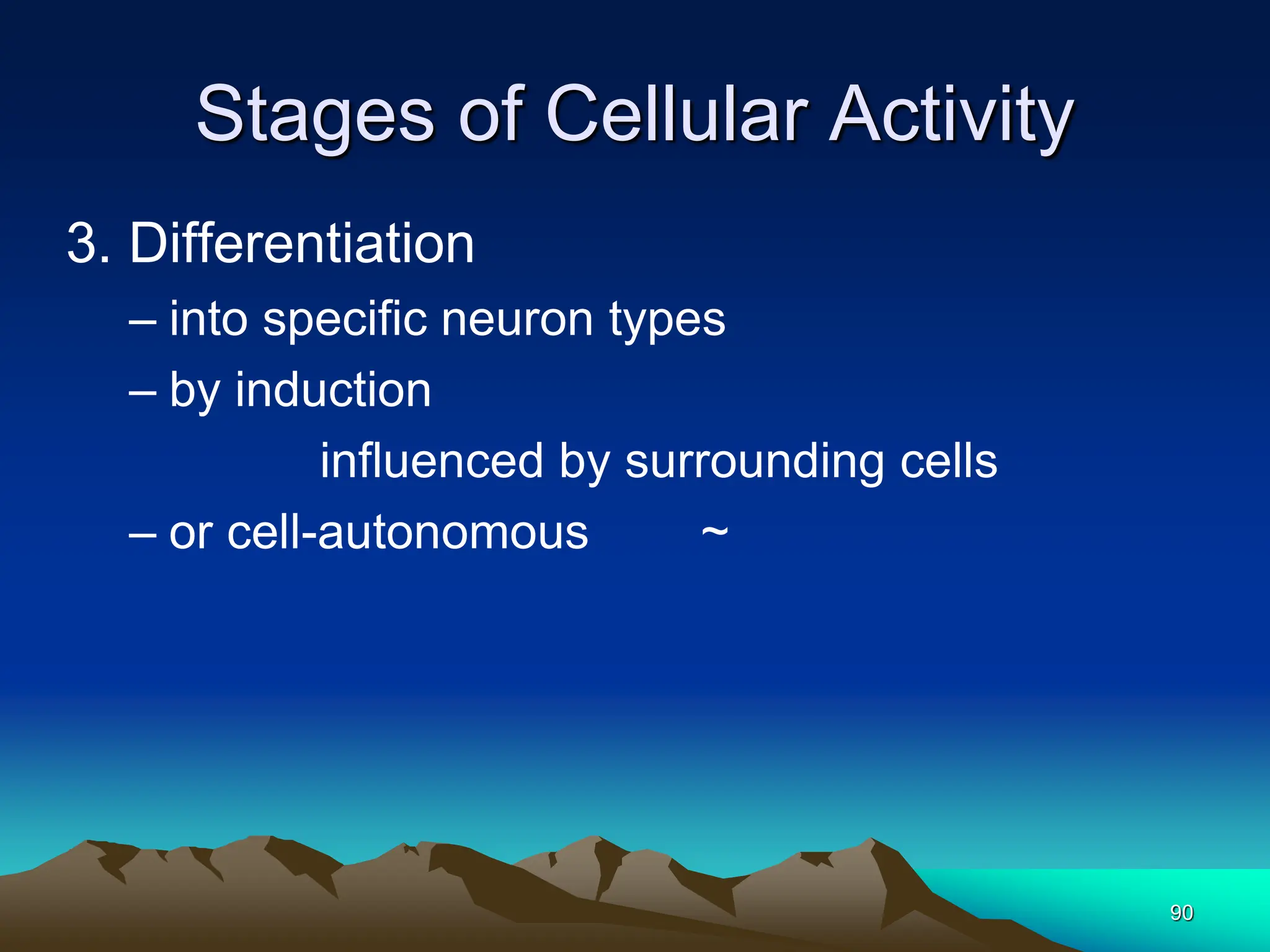 90
Stages of Cellular Activity
3. Differentiation
– into specific neuron types
– by induction
influenced by surrounding cells
– or cell-autonomous ~
 