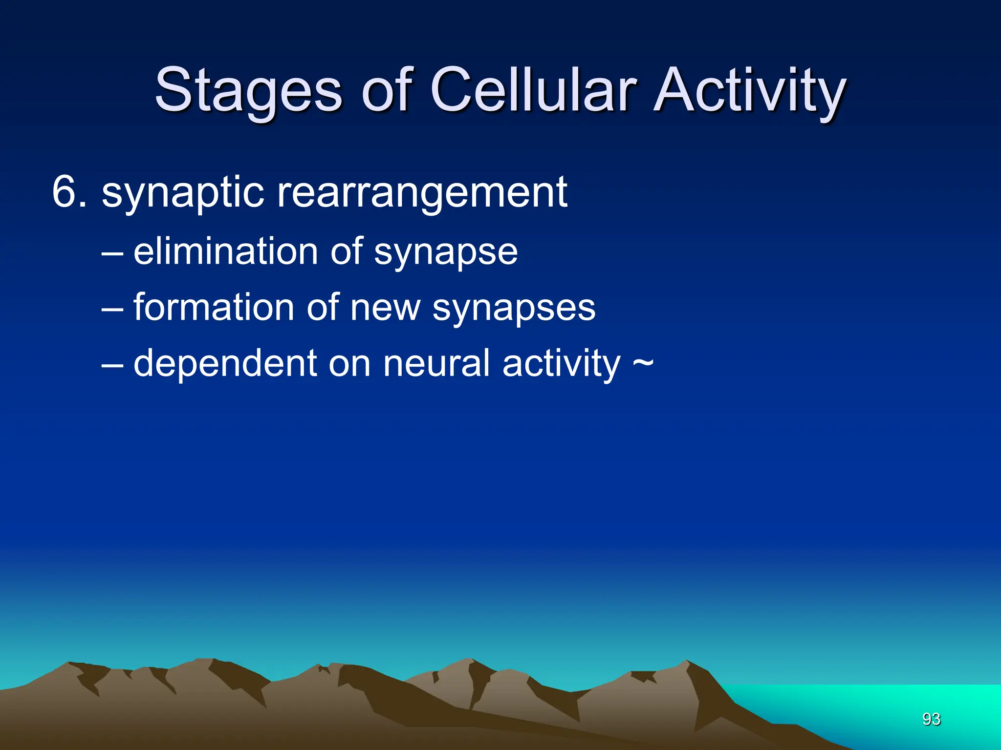 93
Stages of Cellular Activity
6. synaptic rearrangement
– elimination of synapse
– formation of new synapses
– dependent on neural activity ~
 