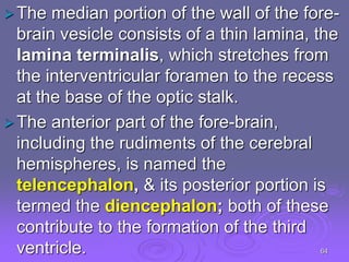BRAIN-EMBRYOLOGY-2-2.ppt.. . | PPT