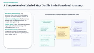 NEUROANATOMY REFERENCE
A Comprehensive Labeled Map Distills Brain Functional Anatomy
Visualizing Subdivisions: The
accompanying anatomical block diagram
organizes the brain's 3 major divisions [1].
Interconnected Systems: Pathways map
the links from the telencephalon to the
medulla oblongata [1, 4].
Clinical Utility: Helps clinicians map a brain
region to its autonomic, sensory, and
cognitive functions [2, 5].
Structural Taxonomy: Organizes the
complex terminology (Prosencephalon,
Mesencephalon, Rhombencephalon) into a
clean, logical grid [1].
 