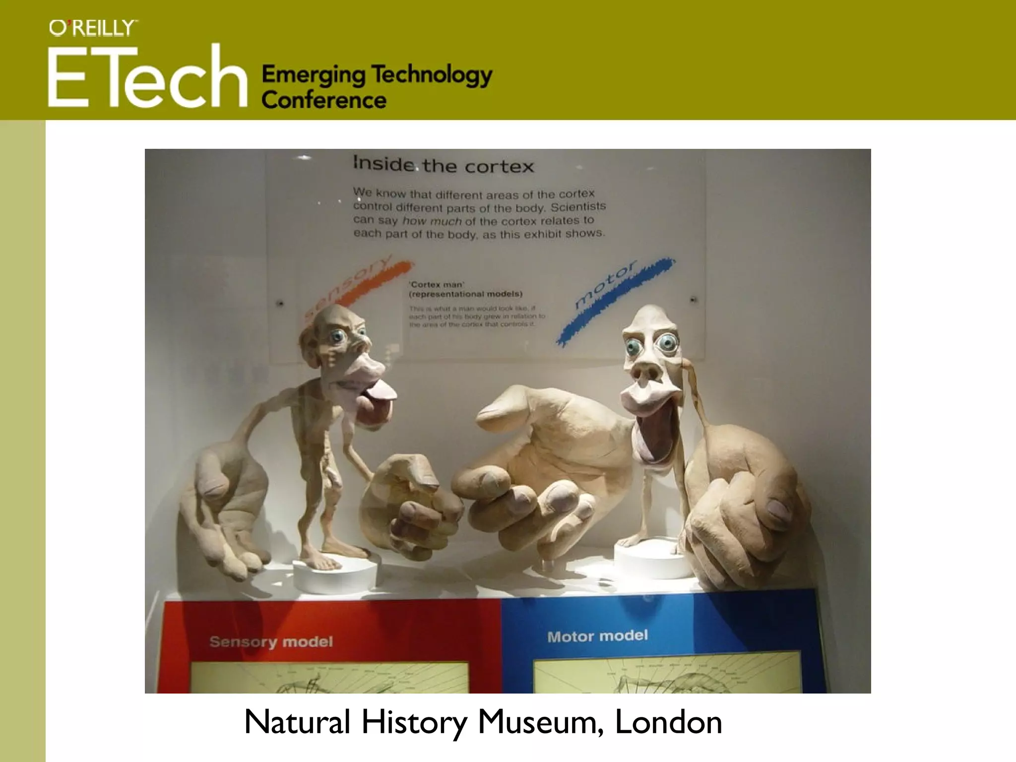 Natural History Museum, London 