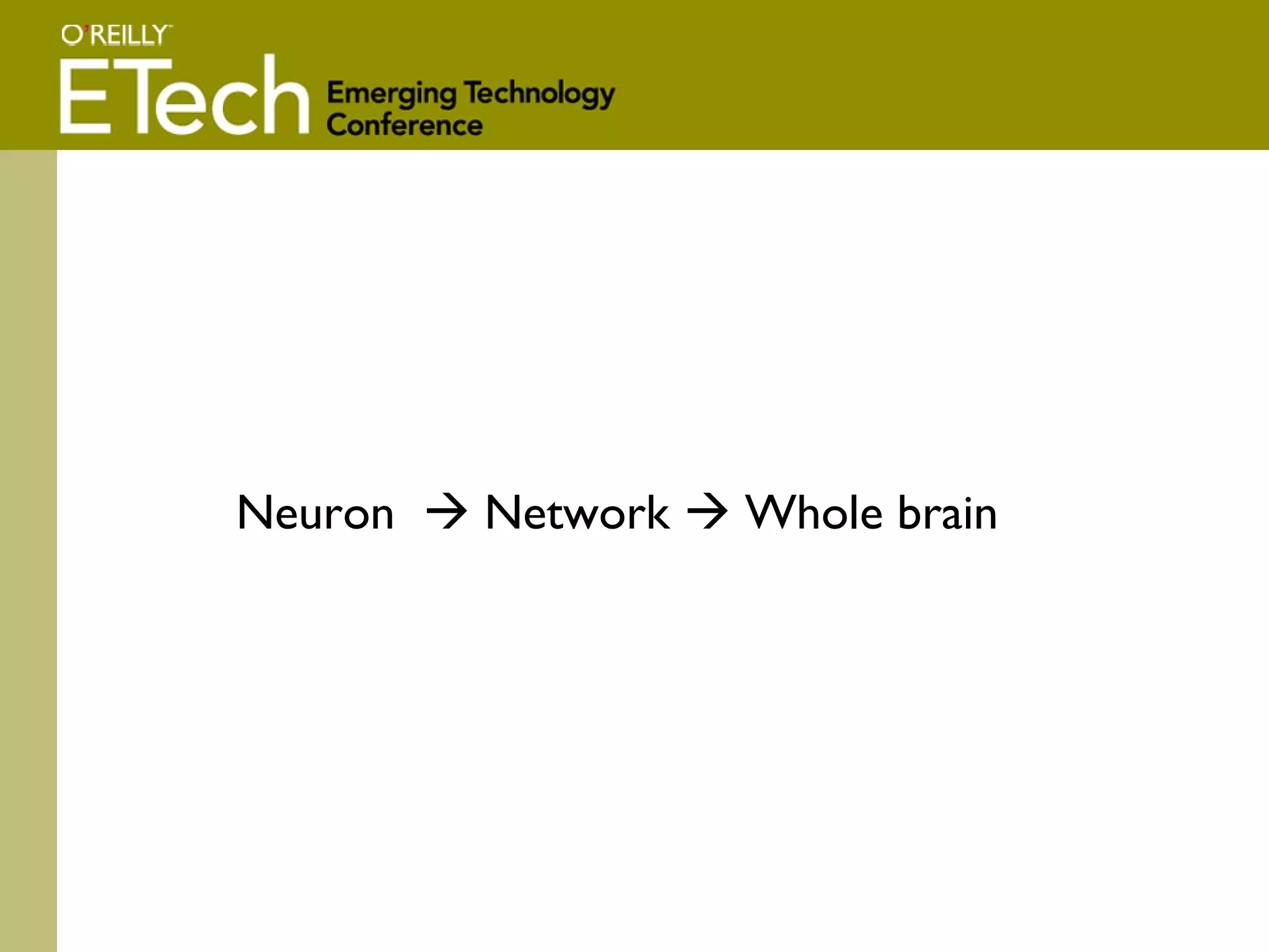 Neuron    Network    Whole brain 