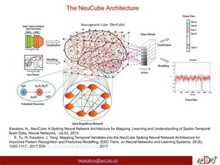 The NeuCube Architecture
nkasabov@aut.ac.nz
Kasabov, N., NeuCube: A Spiking Neural Network Architecture for Mapping, Learning and Understanding of Spatio-Temporal
Brain Data, Neural Networks, vol.52, 2014.
E. Tu, N. Kasabov, J. Yang, Mapping Temporal Variables into the NeuCube Spiking Neural Network Architecture for
Improved Pattern Recognition and Predictive Modelling, IEEE Trans. on Neural Networks and Learning Systems, 28 (6),
1305-1317,, 2017 DOI: 10.1109/TNNLS.2016.2536742, 2017.
 