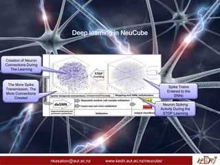 Deep learning in NeuCube
Spike Trains
Entered to the
SNNc
Neuron Spiking
Activity During the
STDP Learning
Creation of Neuron
Connections During
The Learning
The More Spike
Transmission, The
More Connections
Created
nkasabov@aut.ac.nz www.kedri.aut.ac.nz/neucube/
 