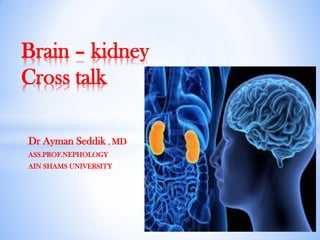 Dr Ayman Seddik , MD
ASS.PROF.NEPHOLOGY
AIN SHAMS UNIVERSITY
Brain – kidney
Cross talk
 