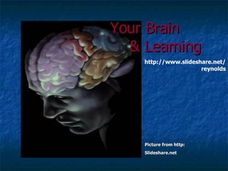 Picture from http:  Slideshare.net Your Brain & Learning   http://www.slideshare.net/reynolds 