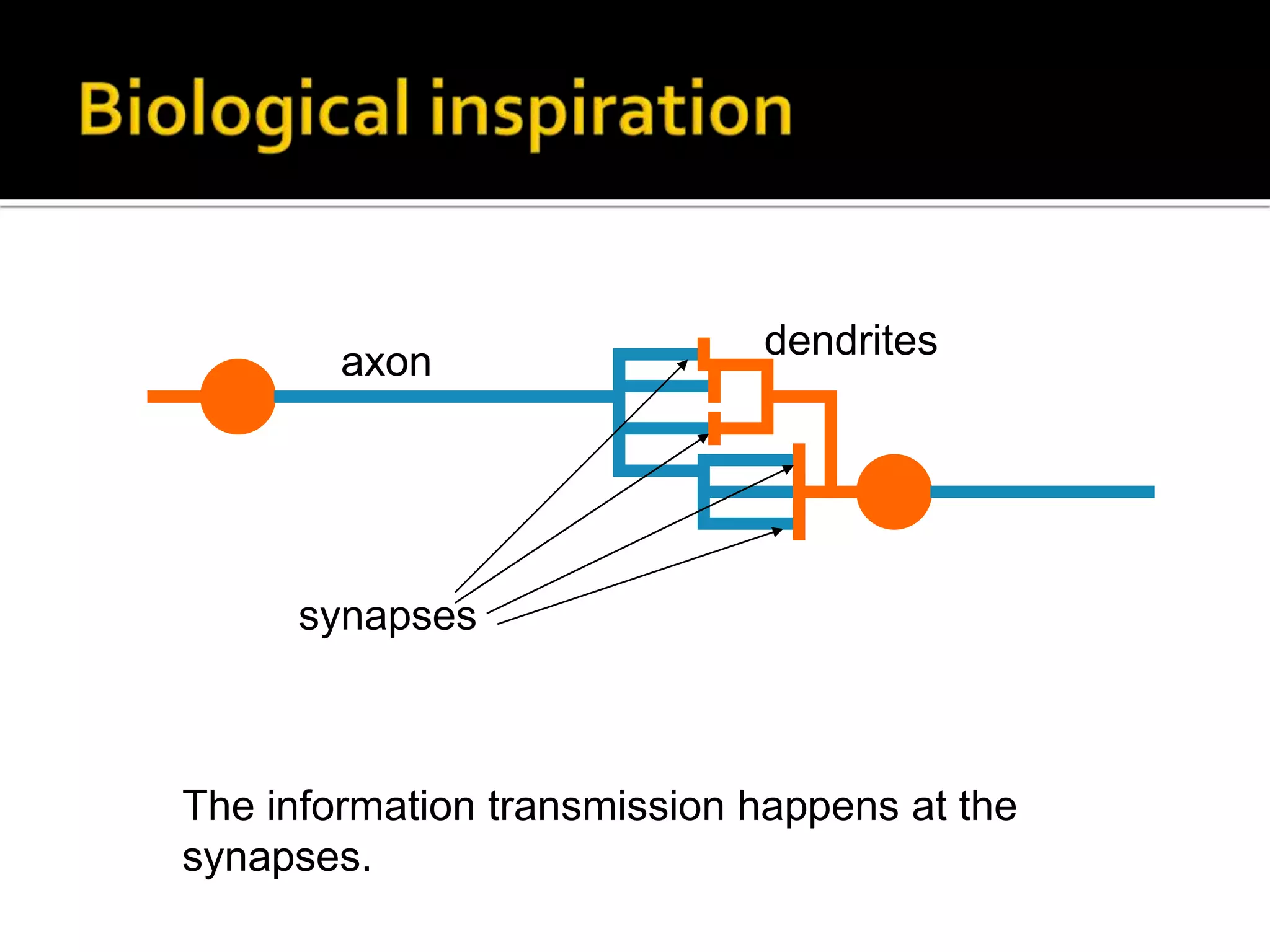 Biological inspirationdendritesaxonsynapsesThe information transmission happens at the synapses. 