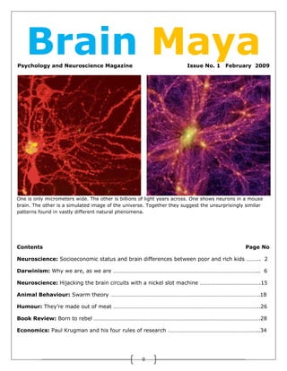 Psychology and Neuroscience Magazine                                   Issue No. 1     February 2009




One is only micrometers wide. The other is billions of light years across. One shows neurons in a mouse
brain. The other is a simulated image of the universe. Together they suggest the unsurprisingly similar
patterns found in vastly different natural phenomena.




Contents                                                                                       Page No

Neuroscience: Socioeconomic status and brain differences between poor and rich kids ………. 2

Darwinism: Why we are, as we are ………………………………………………………………………………………….. 6

Neuroscience: Hijacking the brain circuits with a nickel slot machine …………………………………….15

Animal Behaviour: Swarm theory …………………………………………………………………………………………….18

Humour: They’re made out of meat …………………………………………………………………………………………..26

Book Review: Born to rebel ……………………………………………………………………………………………………….28

Economics: Paul Krugman and his four rules of research ………………………………………………………..34




                                                    0
 