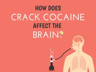 HOW DOES
CRACK COCAINE
AFFECT THE
BRAIN?
HOW DOES
CRACK COCAINE
AFFECT THE
BRAIN?
 