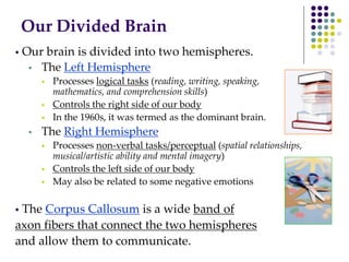Our Divided Brain
 Our brain is divided into two hemispheres.
 The Left Hemisphere
 Processes logical tasks (reading, writing, speaking,
mathematics, and comprehension skills)
 Controls the right side of our body
 In the 1960s, it was termed as the dominant brain.
 The Right Hemisphere
 Processes non-verbal tasks/perceptual (spatial relationships,
musical/artistic ability and mental imagery)
 Controls the left side of our body
 May also be related to some negative emotions
 The Corpus Callosum is a wide band of
axon fibers that connect the two hemispheres
and allow them to communicate.
 