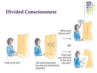 Divided Consciousness
SO
 