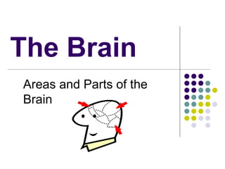 The Brain
Areas and Parts of the
Brain
 