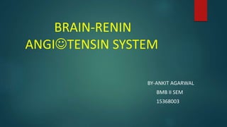 BRAIN-RENIN
ANGITENSIN SYSTEM
BY-ANKIT AGARWAL
BMB II SEM
15368003
 