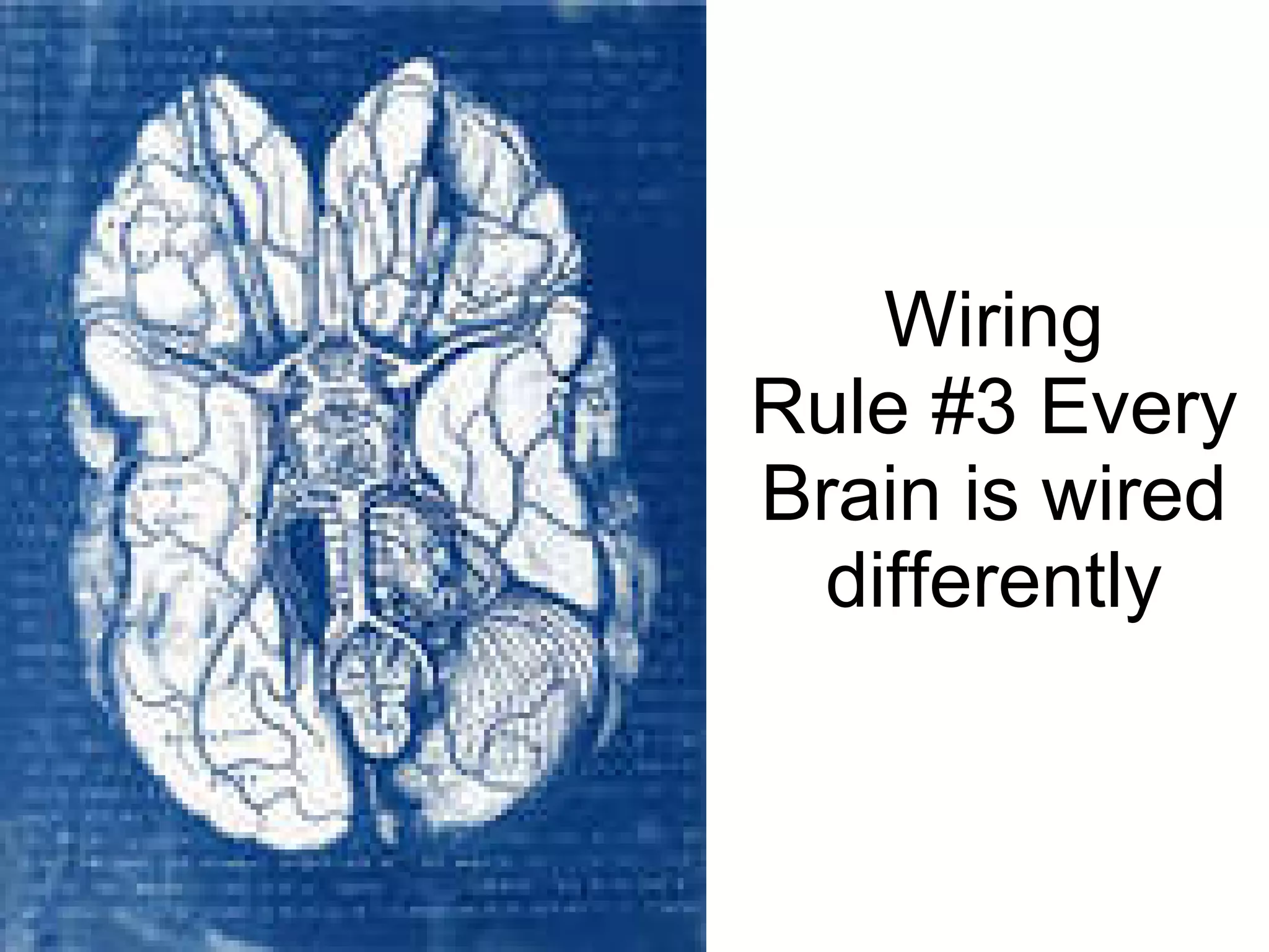 Wiring Rule #3 Every Brain is wired differently 