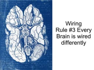 Wiring Rule #3 Every Brain is wired differently 