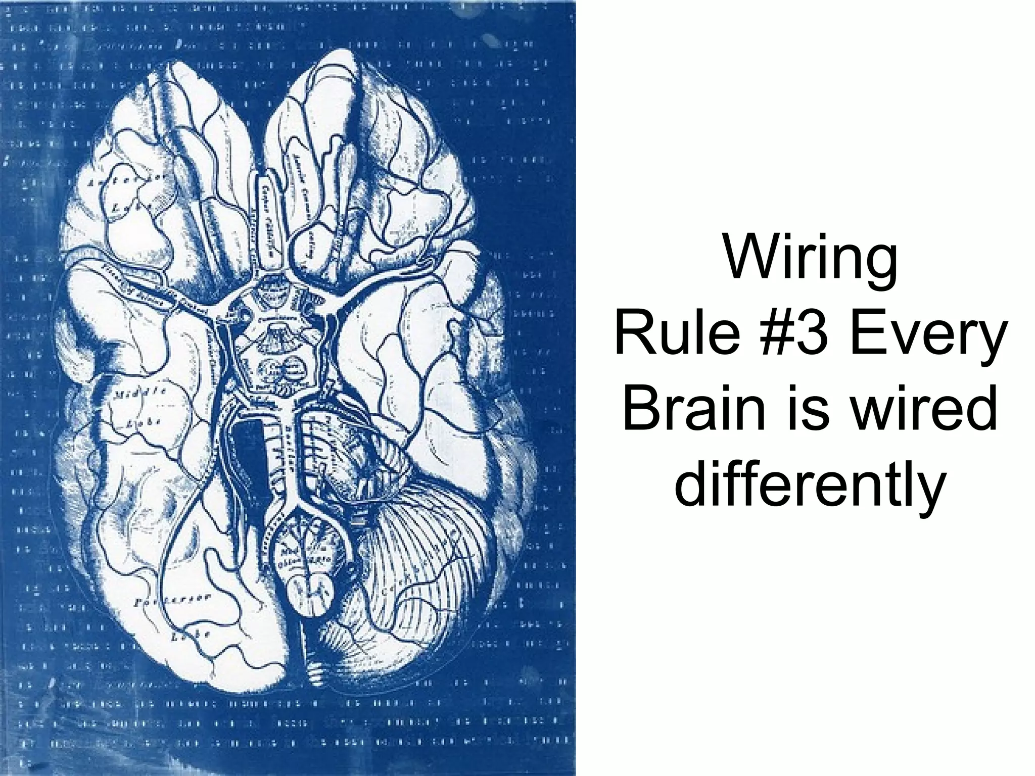 Wiring
Rule #3 Every
Brain is wired
  differently
 