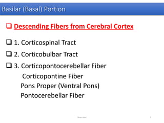 Basilar (Basal) Portion
 Descending Fibers from Cerebral Cortex
 1. Corticospinal Tract
 2. Corticobulbar Tract
 3. Corticopontocerebellar Fiber
Corticopontine Fiber
Pons Proper (Ventral Pons)
Pontocerebellar Fiber
Brain stem 3
 