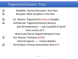 Trigeminothalamic Tract
 Modality: General Sensation from face
 Receptor: Most receptors in the face
 Ist Neuron: Trigeminal (Semilunar) Ganglia
 2nd Neuron: Trigeminal Sensory Nucleus
pain & temperature ---- pars caudaliS of spinal
tract nucleus of V
Ventral and Dorsal Trigeminothalamic Tract
 3rd Neuron: Thalamus (VPM)
Internal Capsule ----- Corona Radiata
 Termination: Primary Somesthetic Area (S I)
Brain stem 36
 