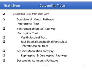 Brain Stem Descending Tracts
 Descending Tracts from Brain Stem
 Dorsolateral (Motor) Pathway
Rubrospinal Tract
 Ventromedial (Motor) Pathway
Tectospinal Tract
 Vestibulospinal Tract
 MLF (Medial Longitudinal Fasciculus)
- interstitiospinal tract
 Sensory Modulation pathways
 Raphespinal & Cerulospinal Pathways
 Descending Autonomic Pathways
Brain stem 51
 