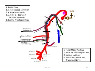 A. Facial Palsy
B. A + decreased salivation
C. A + B + hyperacusis
D. A + B + C + decrased
lacrimal secretion
E. Central Type Facial Palsy
1. Facial Motor Nucleus
2. Superior Salivatory Nucleus
3. Solitary Nucleus
4. Spinal Tract Nucleus of
Trigeminal Nerve
Brain stem 83
 